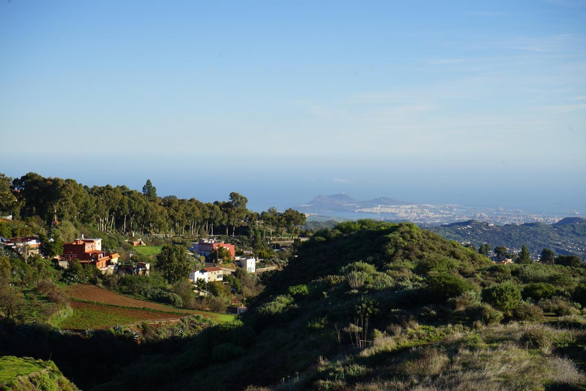 La Casita Pansiyon Vega de San Mateo Dış mekan fotoğraf