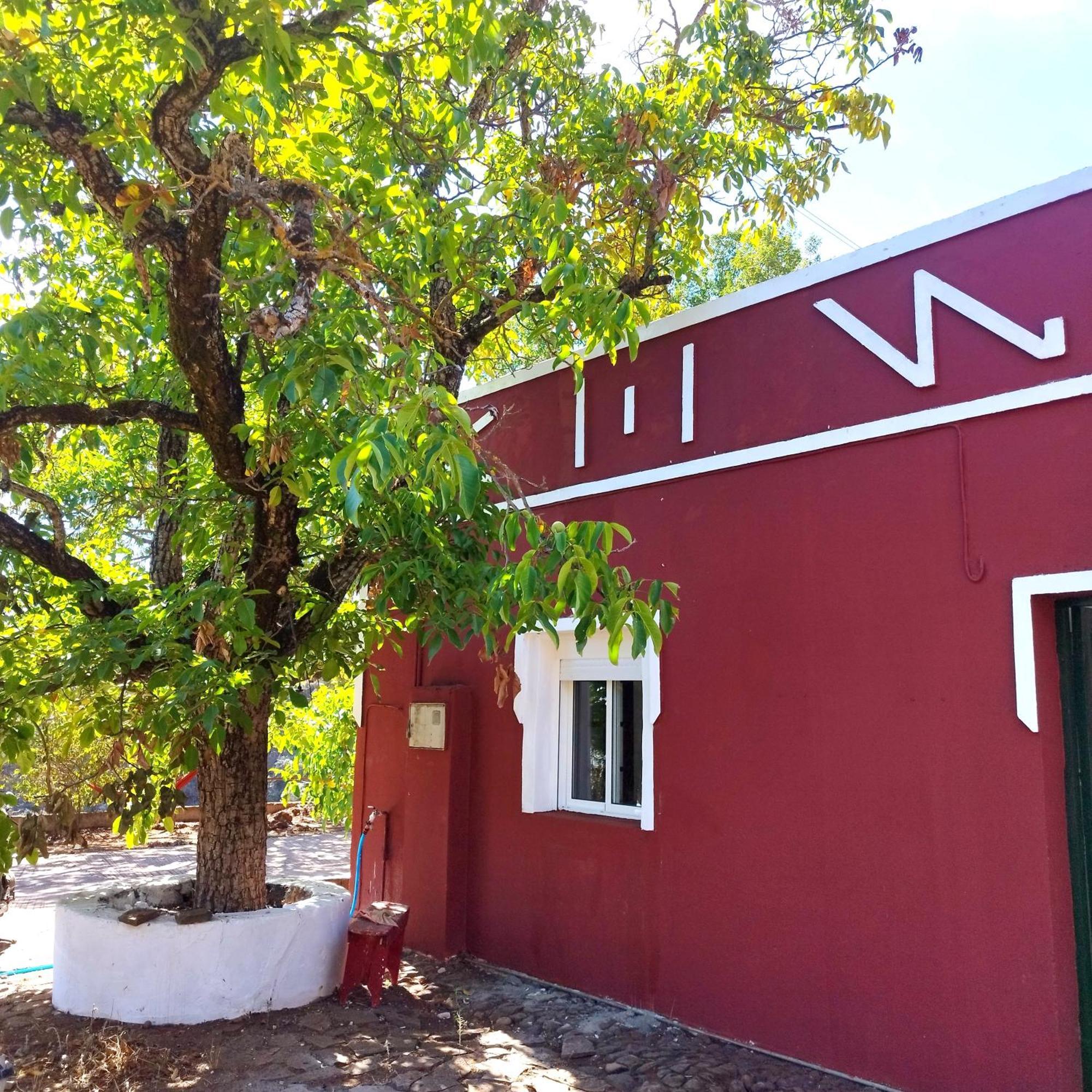 La Casita Pansiyon Vega de San Mateo Dış mekan fotoğraf