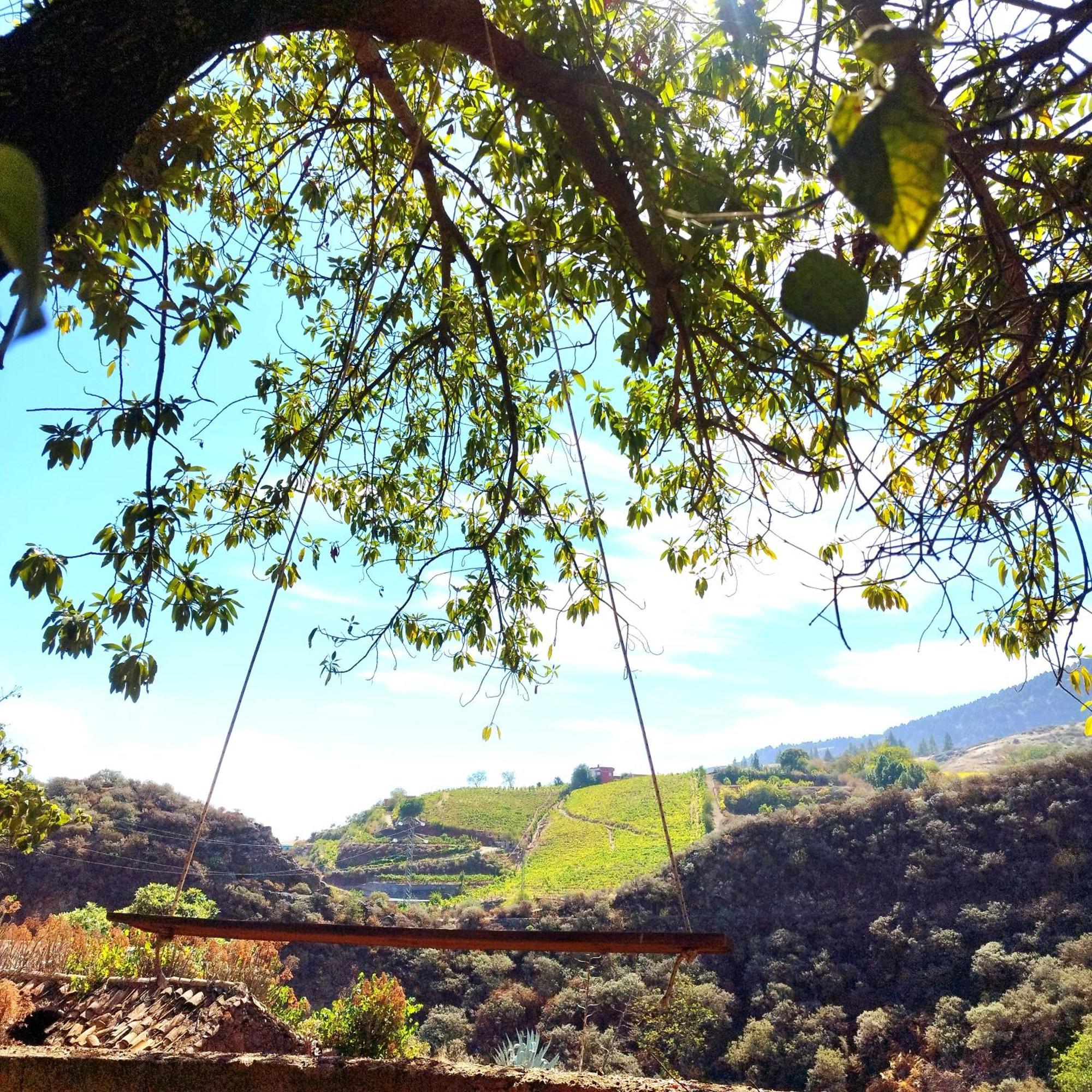 La Casita Pansiyon Vega de San Mateo Dış mekan fotoğraf